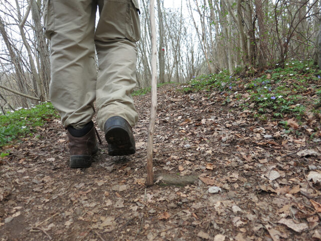 Fötterna på en pilgrimsvandrare