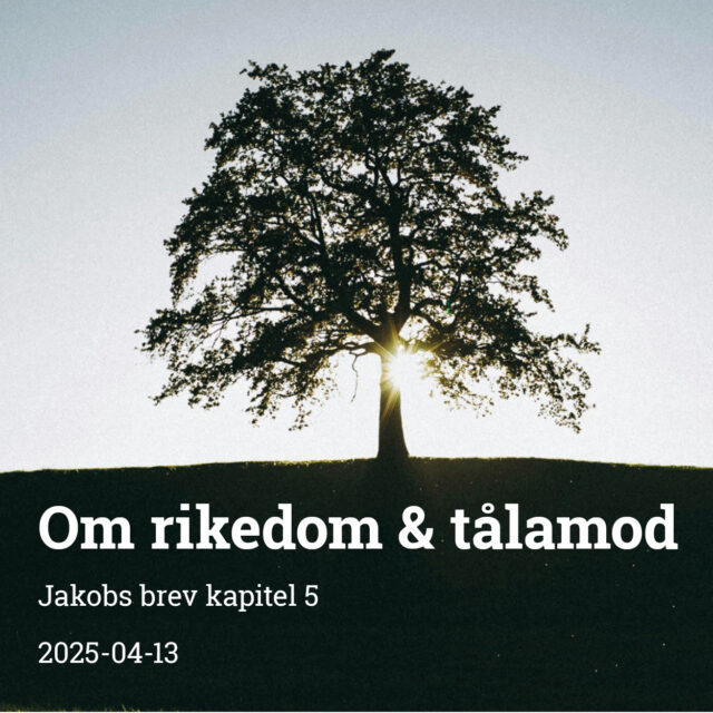 Om rikedom & tålamod m m