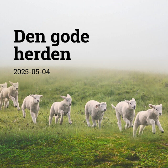 Den gode herden
