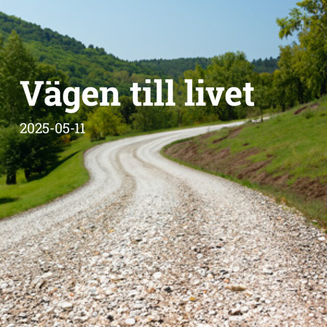 Vägen till livet
