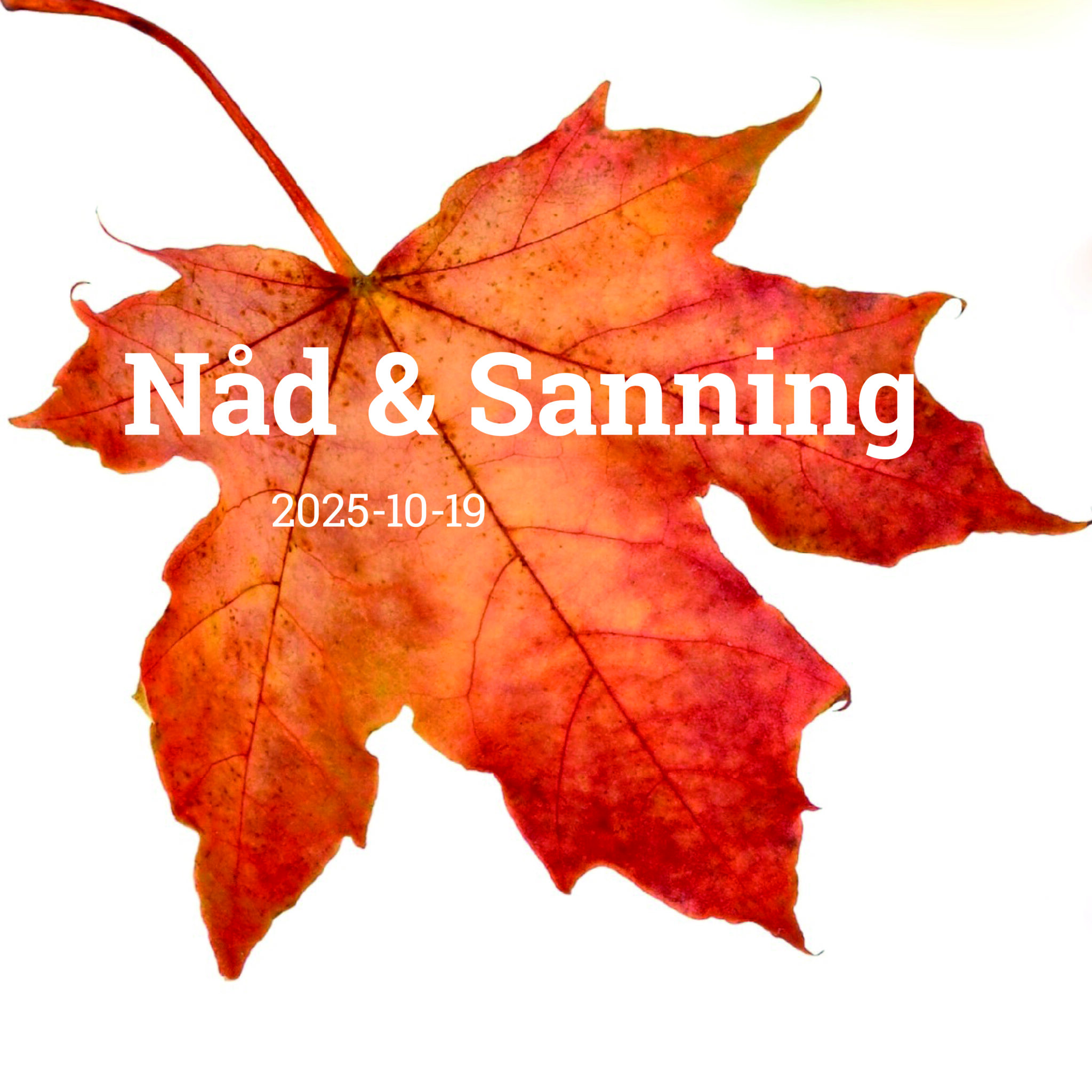 Ett frilagt höstlöv med temat för dagens predikan: Nåd & sanning