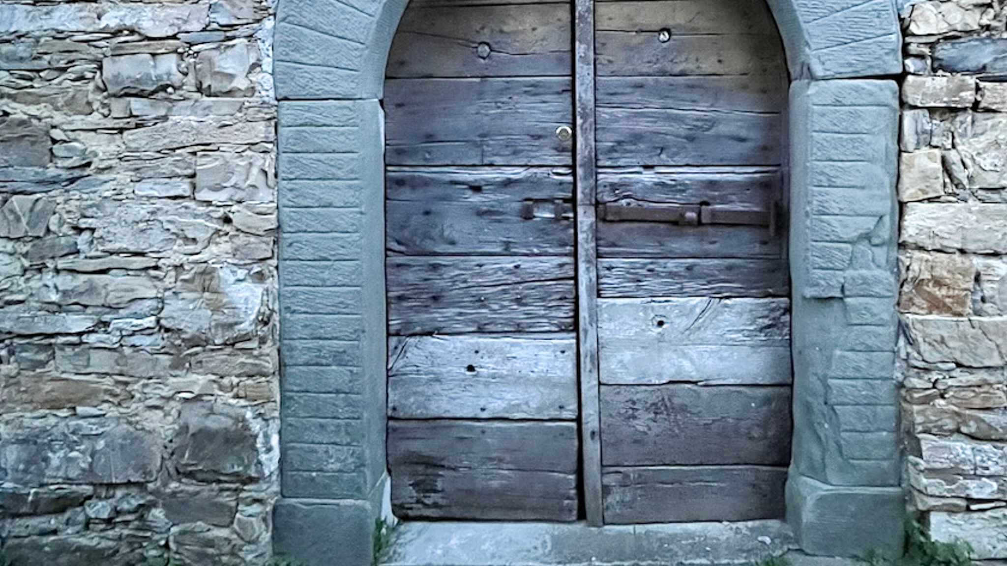 stängd gammal dörr